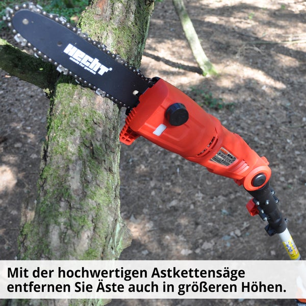 Astkettensäge beim Beschneiden eines Baumes
