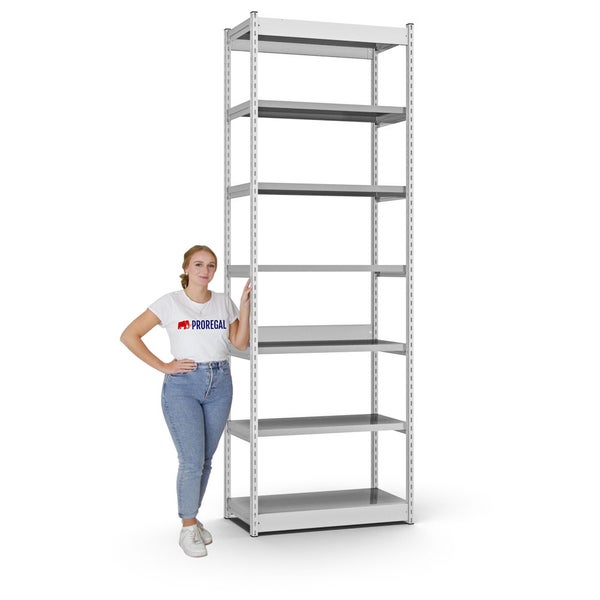 PROREGAL Fachbodenregal Stecksystem Vierkant-Profil Grundregal HxBxT 300 x 102,5 x 40 cm 7 Ebenen Einseitige Bauart Fachlast 200 kg Lichtgrau