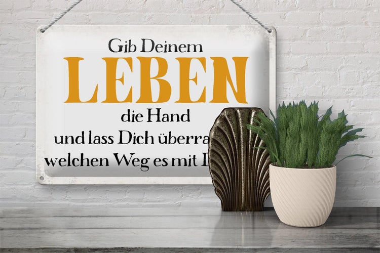 Blechschild Spruch 30x20cm gib deinem Leben die Hand