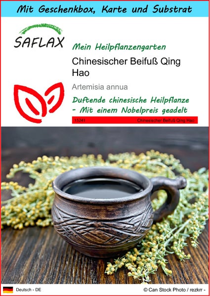 SAFLAX Geschenk Set - Chinesischer Beifuß Qing Hao - Artemisia annua - 250 Samen - Mit Geschenkbox, Versandaufkleber, Geschenkkarte und Anzuchtsubstrat