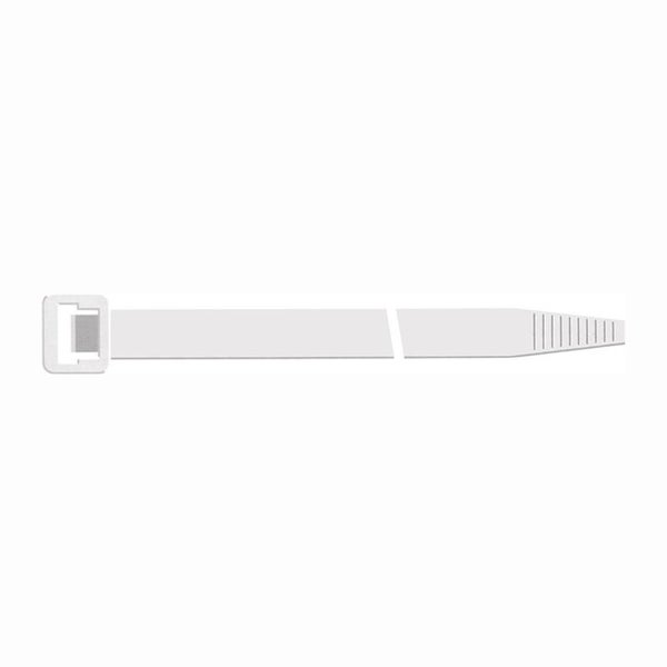 SAPISELCO 50x Kabelbinder Länge 1.000 mm Breite 12,5 mm natur - SEL.2.453R
