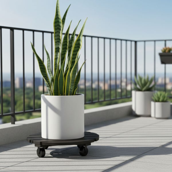 Zimmerpflanze im Pflanzgefäß auf einem Pflanzenroller auf dem Balkon