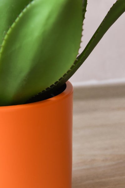 Nahaufnahme einer grünen Agave Sukkulente in einem orangefarbenen zylindrischen Pflanztopf.