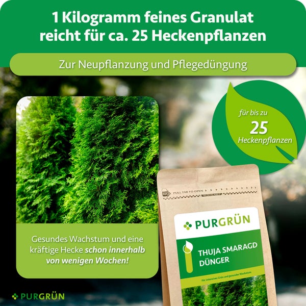 Purgrün Thuja Smaragd Dünger für Heckenpflanzen im Beutel zur Neupflanzung und Pflegedüngung für bis zu 25 Pflanzen.