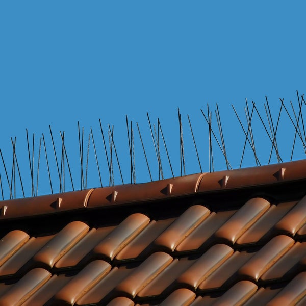 NIEDERBERG METALL Taubenabwehr Spikes - 300cm Kunststoff Tauben Abwehrleiste mit 60 Vogel Abwehr Spikes - Taubenabwehr Balkon Vogelabwehr für Dachbalken - Vogelschutz Dach Solaranlage Photovoltaik