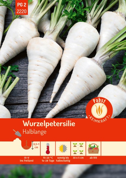 Rückseite der Samentüte für Sommerazalee Mittelhohe Mischung mit Infos zu Aussaat, Keimung, Blütezeit Juni bis September und Entsorgungssymbol.
