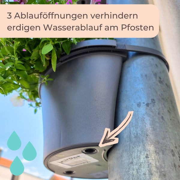 Drei Blumentöpfe mit Petunien an einem Fallrohr montiert, einfache Montage ohne Bohren.