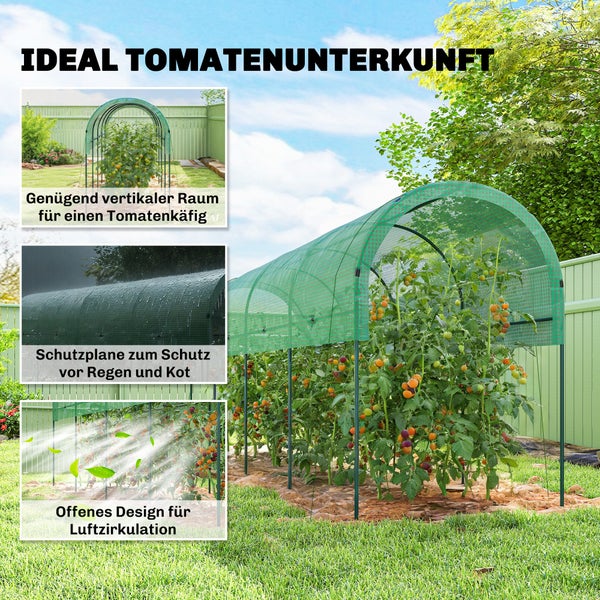 Tomatengewächshaus in Tunnelform mit Gitternetzfolie im Garten, Schutz vor Regen und Kot sowie offenes Design für gute Luftzirkulation.