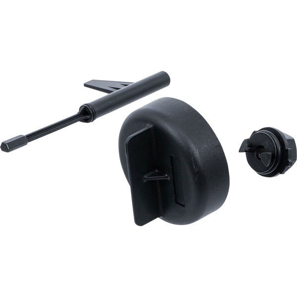 Bosch Torx-Bits T20, T25 und T30