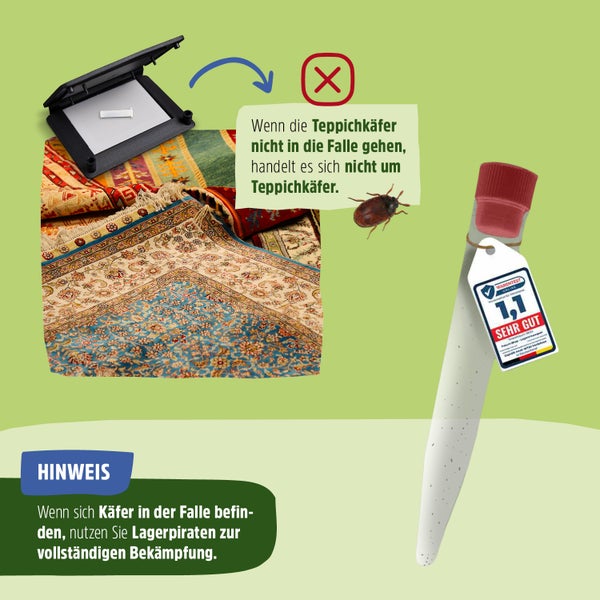 Teppichkäfer Pheromonfalle