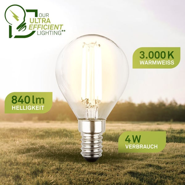 Blaue Werkzeugbox aus Kunststoff mit leeren Fächern für Sechskant-Einsätze.