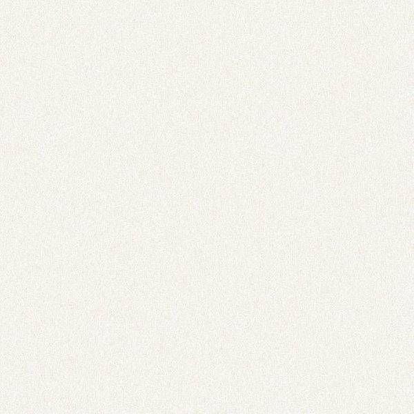 Radlager Demontagewerkzeug im Einsatz