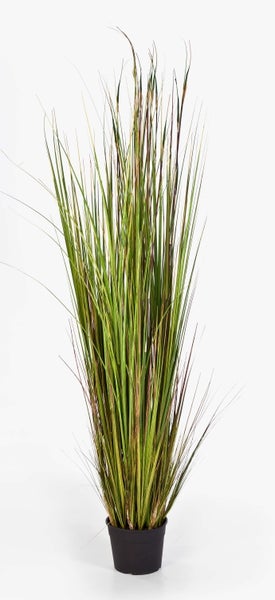 Künstliches Ziergras im schwarzen Topf mit langen, schmalen Halmen.