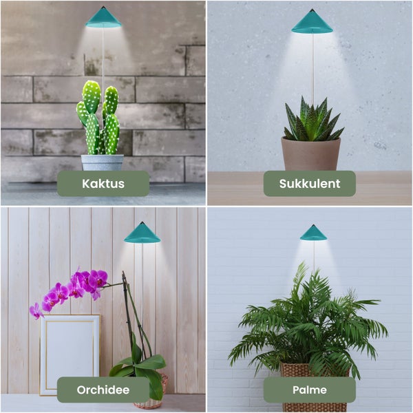 Parus by Venso SUNLiTE LED Pflanzenlampe klein 7W Petrol , Wachstumslampe mit Teleskopstab, Grow Light für Zimmerpflanzen und Grünpflanzen