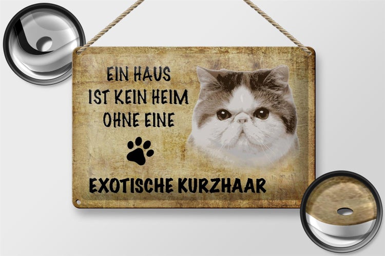 Blechschild Spruch 30x20cm exotische Kurzhaar ohne kein Heim
