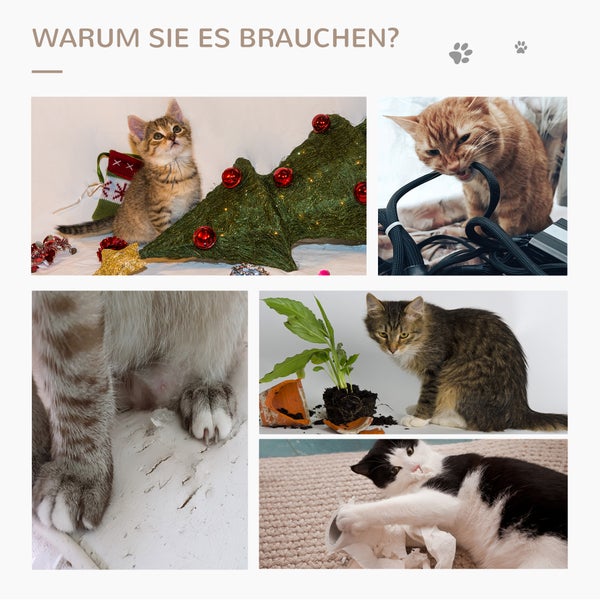 Bildmontage von Katzen, die Kabel zerstören, an Möbeln kratzen, Topfpflanzen umwerfen und mit Toilettenpapier spielen