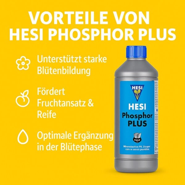 Hesi Phosphor Plus. Vorteile: unterstützt starke Blütenbildung, fördert Fruchtansatz und Reife, Ergänzung in der Blütephase. Hesi Logo.