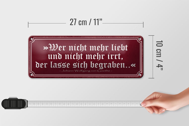 Blechschild Spruch 27x10cm wer nicht mehr liebt und irrt Dekoration