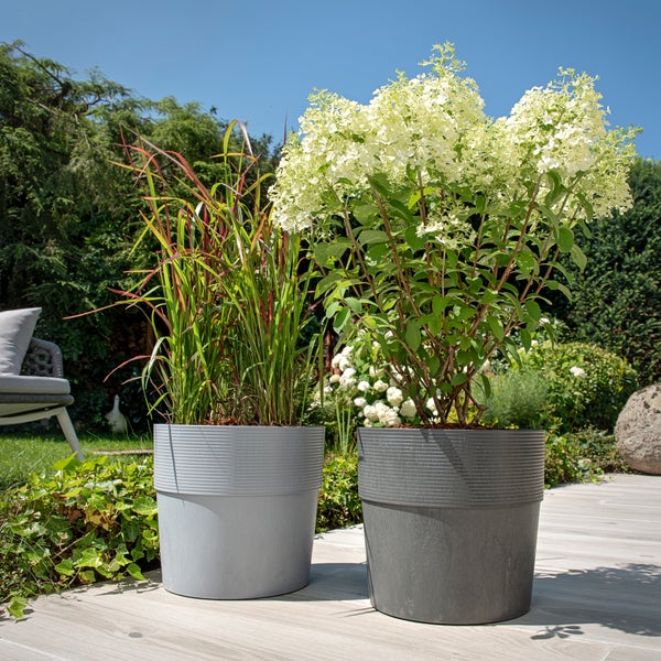 Bewässerungseinsatz inklusive