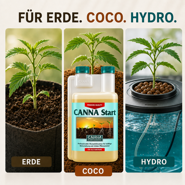 Canna Start Wurzelstimulator in einer Flasche mit Darstellungen von Pflanzenanbau in Erde, Kokossubstrat und Hydrokultur.