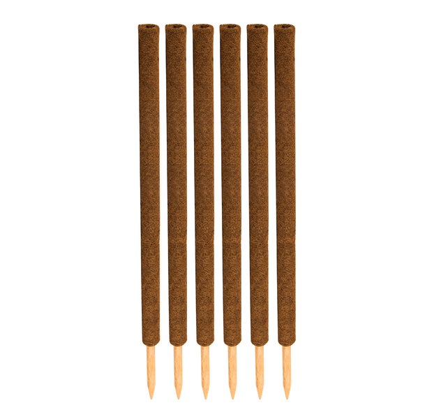 BigDean 6er Set Pflanzstäbe Kokos 110 cm - Monstera Rankhilfe Rankstäbe Stab Moosstäbe Pflanzenstäbe Kokosstäbe für Pflanzen - aus natürlicher Kokosfaser - verlängerbar
