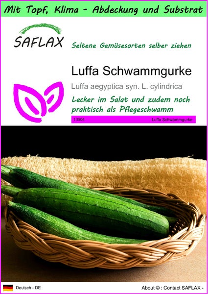 SAFLAX Garden to go - Luffa Schwammgurke - Luffa aegyptica syn. L. cylindrica - 10 Samen - Mit Topf, Klima - Deckel und Anzuchtsubstrat