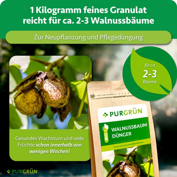 PURGRÜN Bio Walnussbaum Dünger im 1 Kilogramm Beutel für Neupflanzung und Pflegedüngung von 2 bis 3 Walnussbäumen für gesundes Pflanzenwachstum.