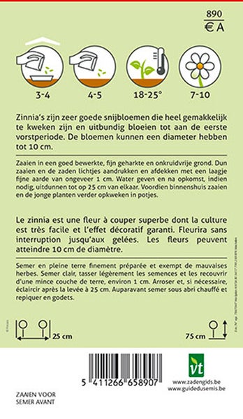 Informationen zur Aussaat von Zinnien