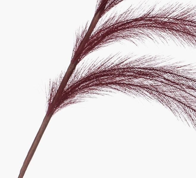 Künstliches Pampasgras mit federartigen Halmen in Dunkelrot.