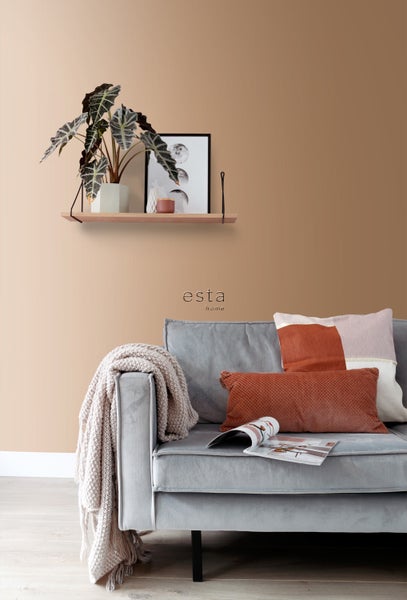 Dekoratives Wohnzimmer mit Sofa, Kissen, Decke und Wandregal mit Zimmerpflanze