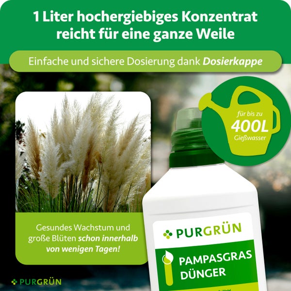 Purgrün Pampasgras Dünger 1 Liter Konzentrat für 400 Liter Gießwasser, mit Dosierkappe für gesundes Wachstum. Pampasgras Abbildung. Purgrün Logo.