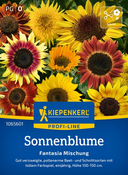 Kiepenkerl Profi-Line Sonnenblume Fantasia Mischung, Samentüte mit pollenarmen Schnittblumen für Beet und Vase, Wuchshöhe 100 bis 150 Zentimeter.