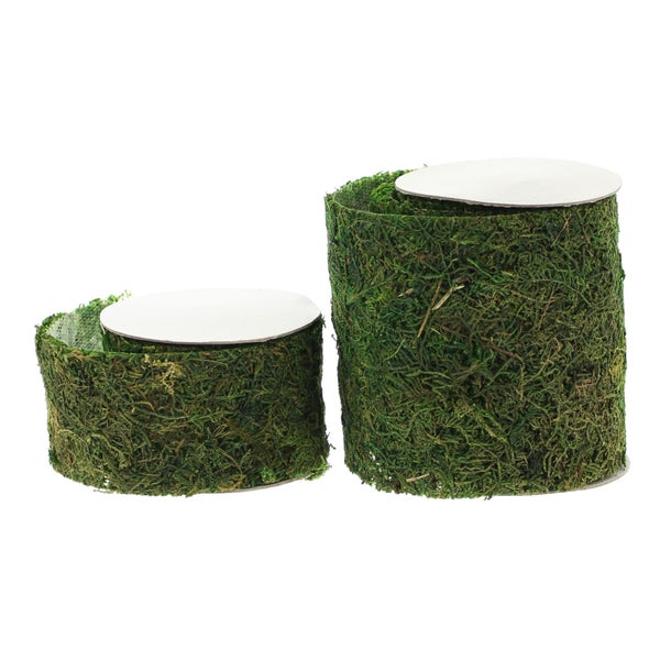 FRANK FLECHTWAREN | Band Moos, 2er Set, NATURMOOS, 6 x 120 cm, 12 x 120 cm