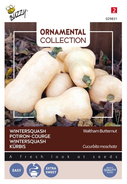 Buzzy Zierkollektion Waltham Butternut Kürbis Saatgutpackung