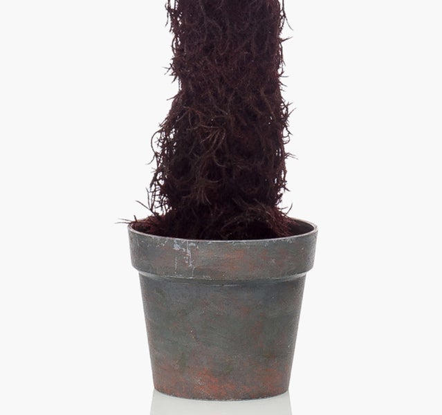 Künstliche Ficus Benjamina Pflanze mit geflochtenem Stamm und weißgrünen Blättern in einem schwarzen Topf.