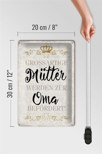 Blechschild Spruch 20x30cm grossartig Mütter werden zur Oma
