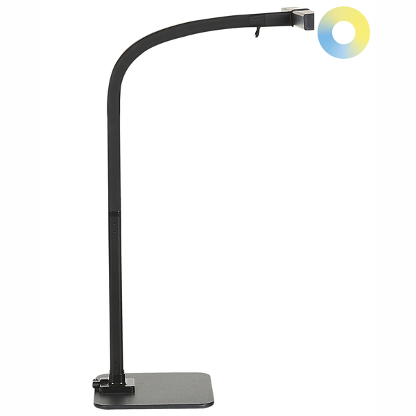 Stehleuchte mit rundem Leuchtenkopf