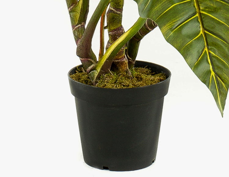 Colocasia künstlich SOTU, grün, 175cm - Elefantenohr Seidenpflanze/Plastik Zehrwurz