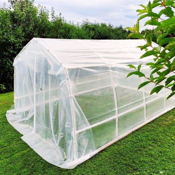 Gewächshaus auf Rasenfläche im Garten