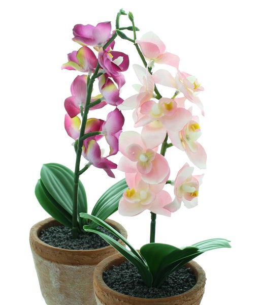 FRANK FLECHTWAREN | Orchidee im Topf, 2er Set, KUNSTSTOFF, BETON, 8,5 x 8,5 x 25 cm