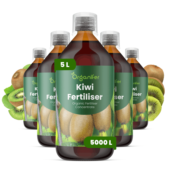 Fünf 5-Liter-Flaschen Organifer Kiwi-Dünger, organisches Düngerkonzentrat für 5000 Liter, mit Abbildungen von Kiwis.