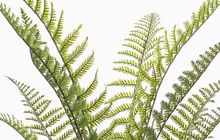 Künstlicher Olivenbaum im schwarzen Kunststofftopf mit realistischen Blättern und Olivenfrüchten.