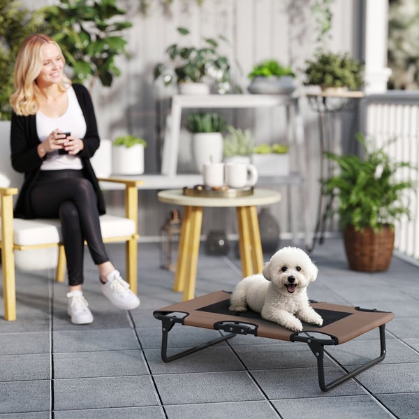 Szene mit einer Frau auf einem Stuhl und einem Hund auf einem braunen Hundebett auf einer Terrasse mit Pflanzen