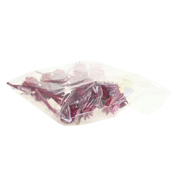 Trockenblumen in Plastiktüte