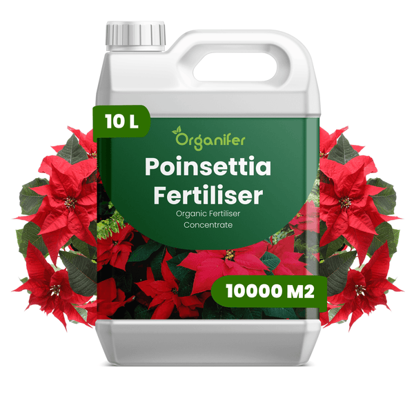 Organifer Weihnachtsstern-Dünger, organisches Düngerkonzentrat im 10 Liter Kunststoffkanister, für eine Fläche von 10000 Quadratmeter.
