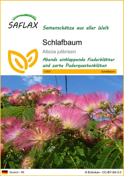 SAFLAX  - Schlafbaum - Albizia julibrissin - 50 Samen