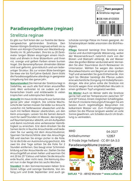 SAFLAX Garden to go - Paradiesvogelblume (reginae) - Strelitzia reginae - 5 Samen - Mit Topf, Klima - Deckel und Anzuchtsubstrat