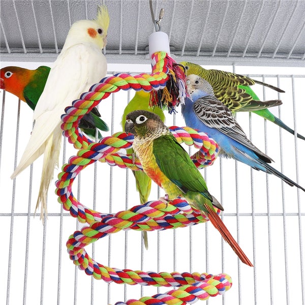 Verschiedene Papageien sitzen auf einem spiralförmigen Seilspielzeug in einem Vogelkäfig.