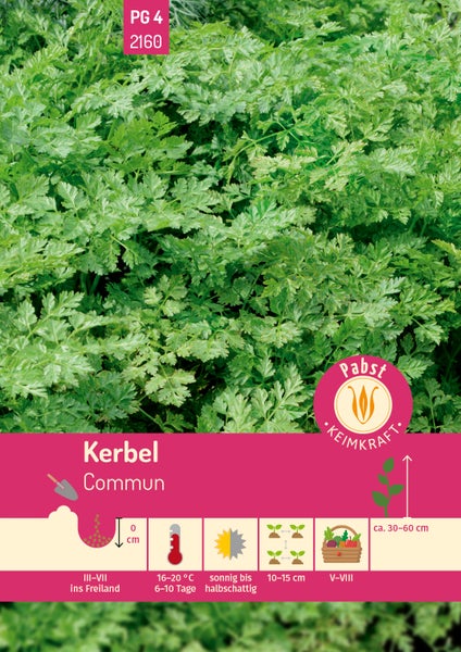 Rückseite der Samentüte für Kerbel Commun von Carl Pabst mit Informationen zu Aussaat, Kultur, Standort und Ernte.