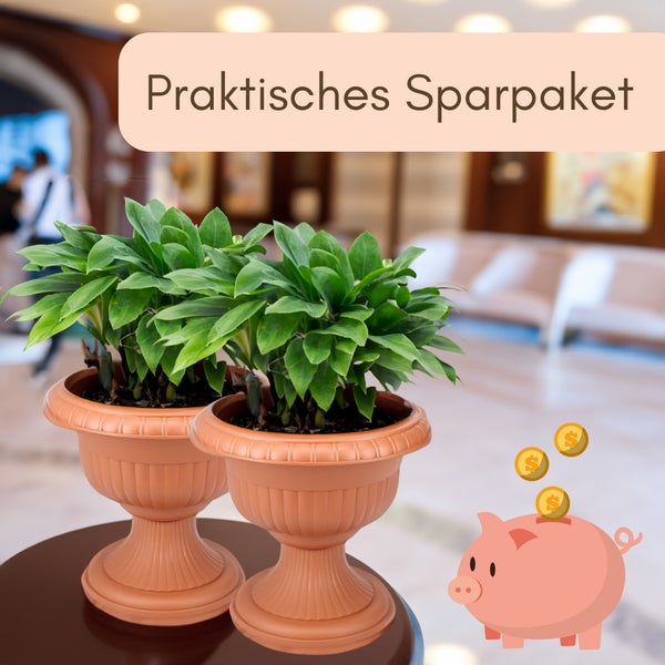 Zwei grüne Zimmerpflanzen in terracottafarbenen Kunststoff-Pflanzgefäßen in Kelchform, praktisches Sparpaket mit Sparschwein-Grafik.